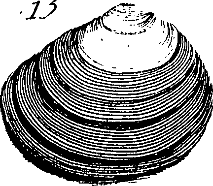 067/067380010003390_2.png