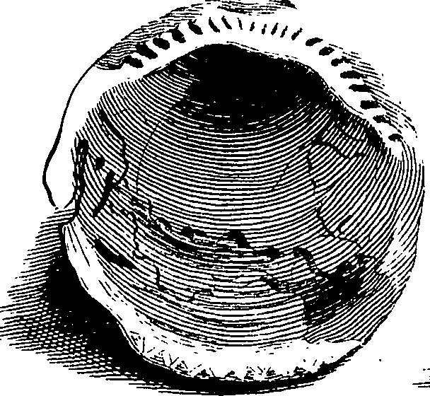 067/067380010003390_3.png
