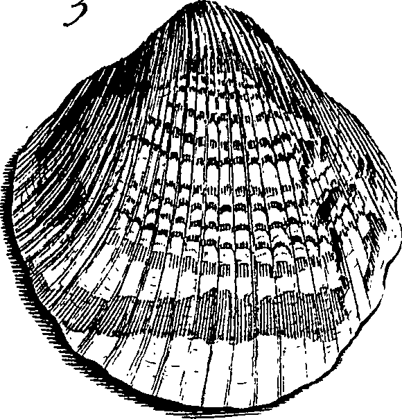 067/067380010003390_4.png