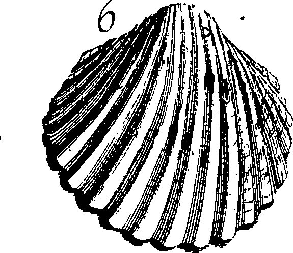 067/067380010003420_2.png