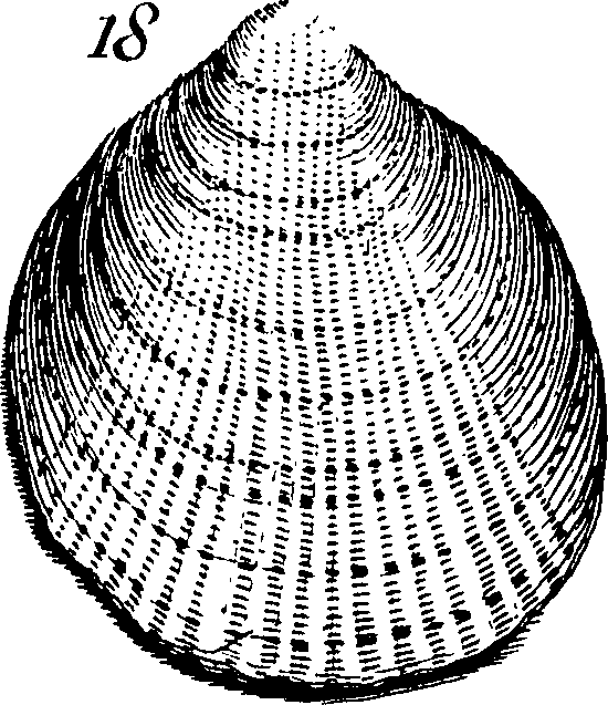 067/067380010003420_3.png