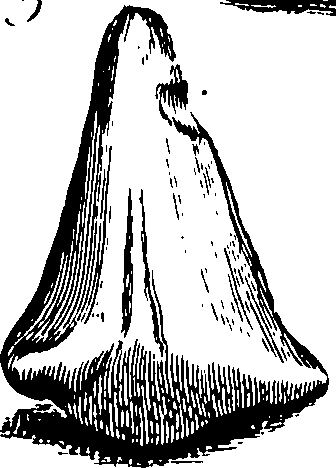 067/067380010003450_0.png