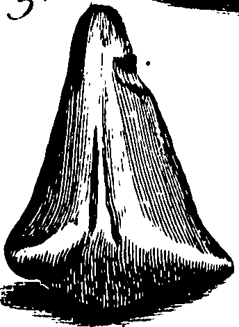067/067380010003470_0.png
