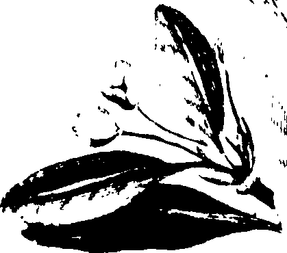 067/067380020004240_0.png