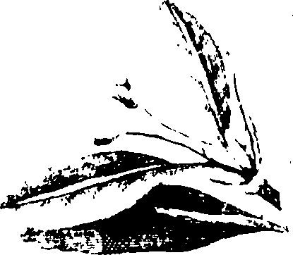 067/067380020004260_0.png