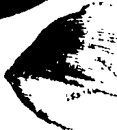 067/067380020004270_0.png
