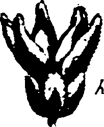 067/067380020004420_0.png