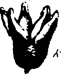 067/067380020004430_0.png