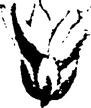 067/067380020004450_0.png