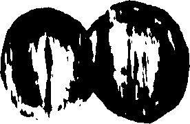067/067380020004930_0.png