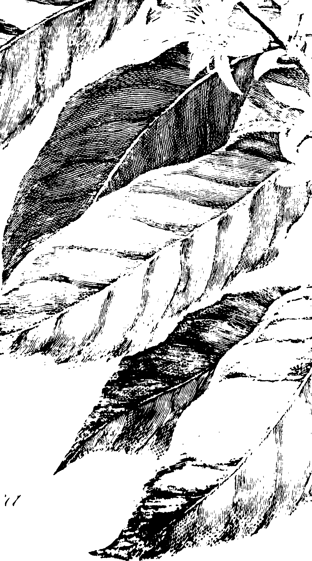 067/067380020004950_0.png