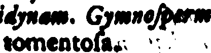 067/067380020006480_0.png