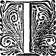 067/067440130000020_0.png
