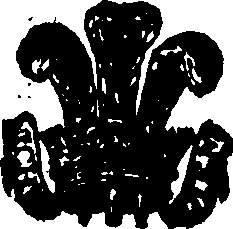 067/067490230000030_0.png
