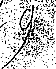 067/067500040000010_0.png