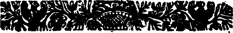 067/067500040000300_1.png