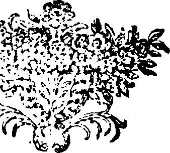067/067500040002130_0.png