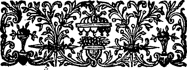 067/067600010000020_1.png