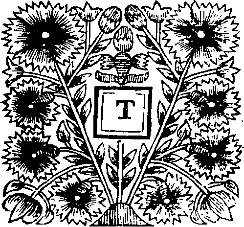 067/067600090000650_0.png