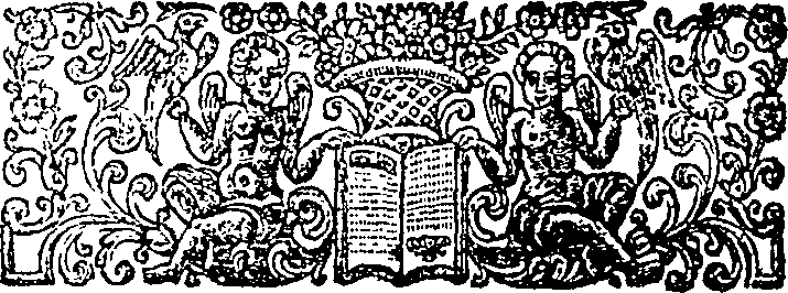 067/067840070000020_1.png