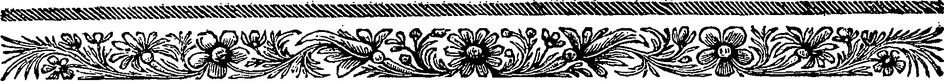 067/067890040000020_2.png
