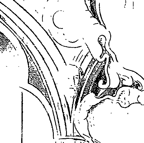 068/068020010106490_1.png
