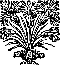 068/068110020000460_0.png