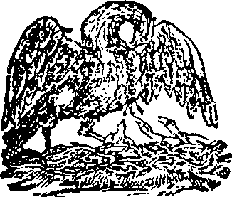 068/068130110000010_0.png