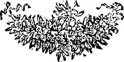 068/068170180000530_0.png