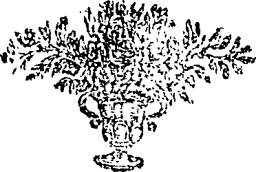 068/068170260000320_0.png