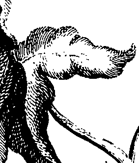 068/068230010000460_0.png