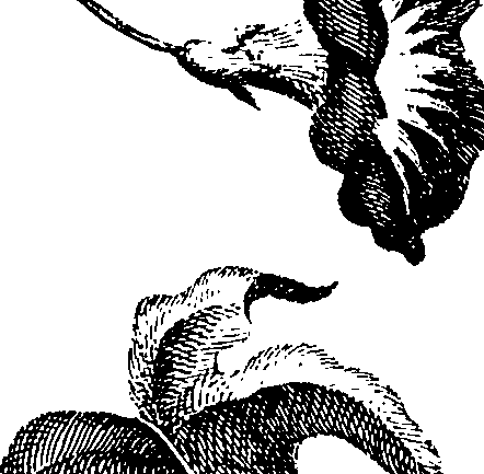 068/068230010000460_1.png
