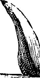 068/068230010002190_1.png