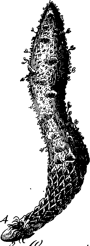 068/068230010002360_0.png