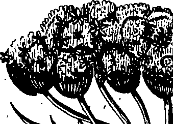 068/068230010002600_1.png