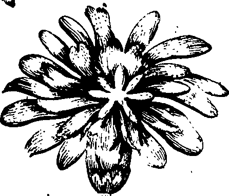 068/068230010002600_3.png