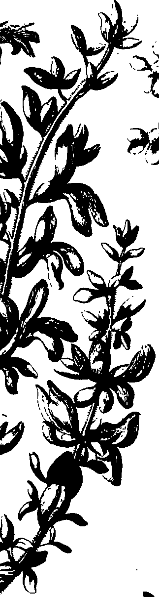 068/068230010002750_1.png