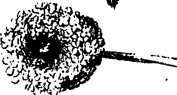 068/068230010002750_2.png