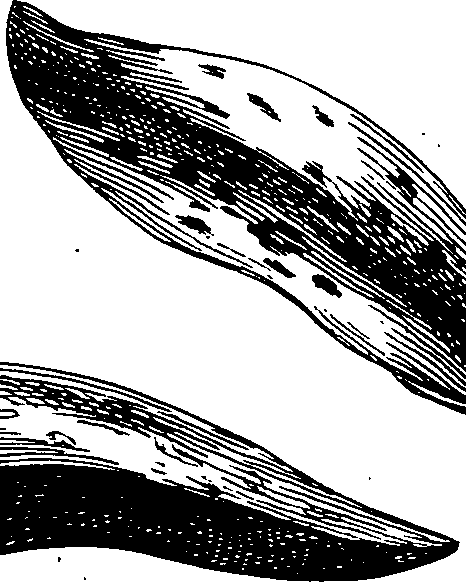 068/068230010002840_0.png