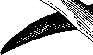 068/068230010003100_2.png