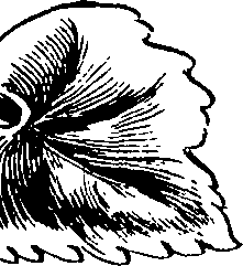 068/068230010003230_0.png