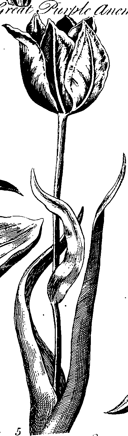 068/068230010003490_0.png