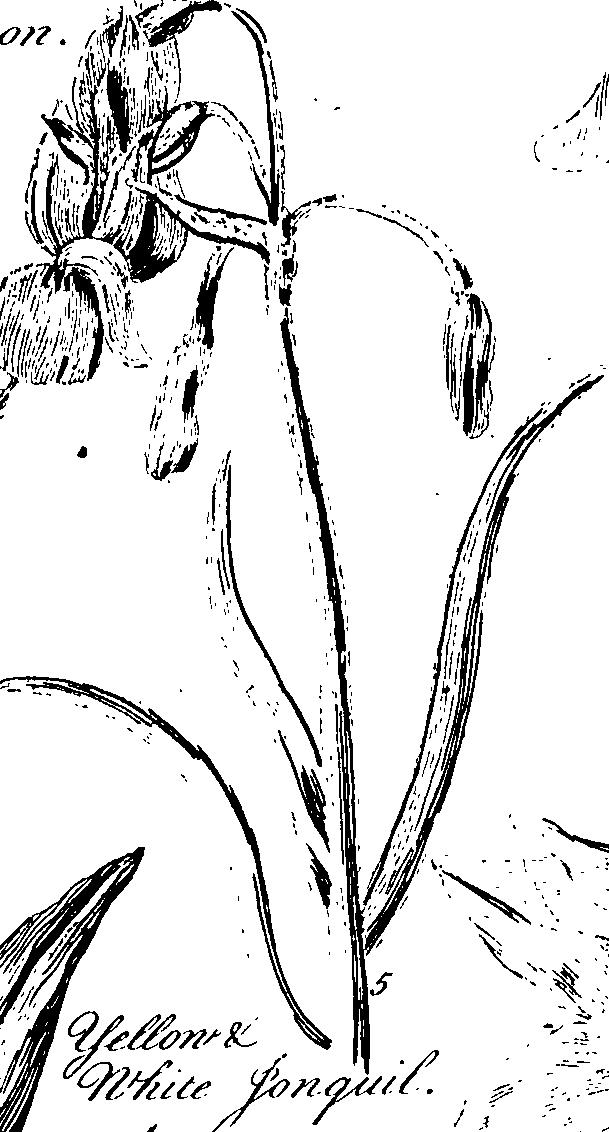 068/068230010005340_0.png