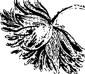 068/068230010005340_1.png
