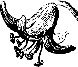 068/068230010005340_2.png