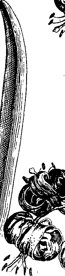068/068230010005710_1.png