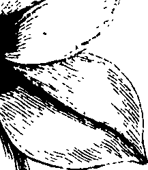 068/068230010005710_2.png