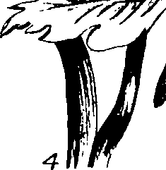 068/068230010006900_0.png