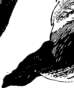 068/068230010007590_0.png