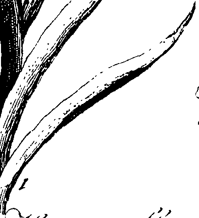 068/068230010007760_0.png